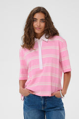 Begonia polo