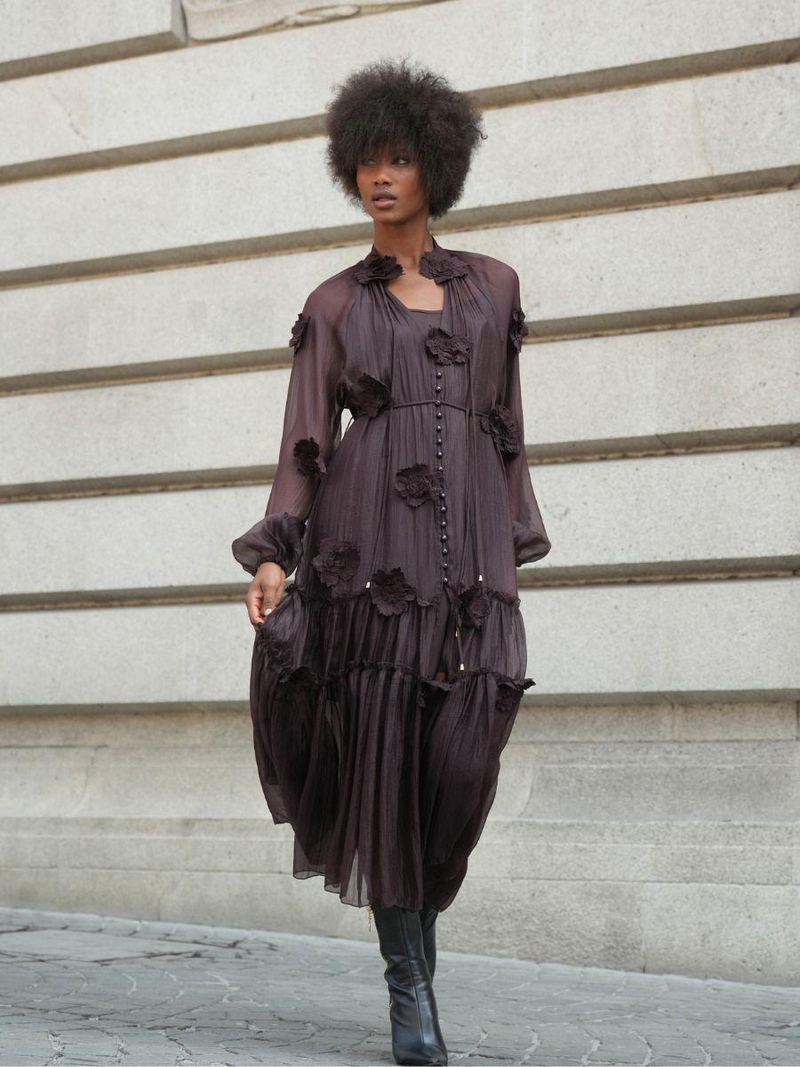 Goldie sheer maxi dress